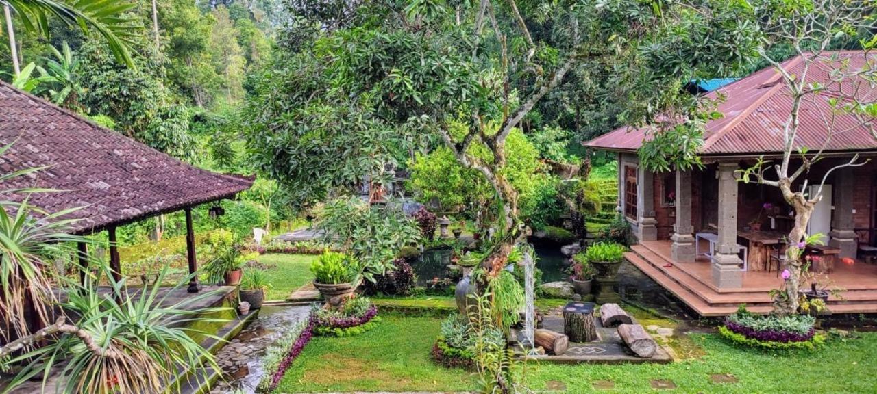 Mesari Cottage Guest House Buleleng  Bagian luar foto