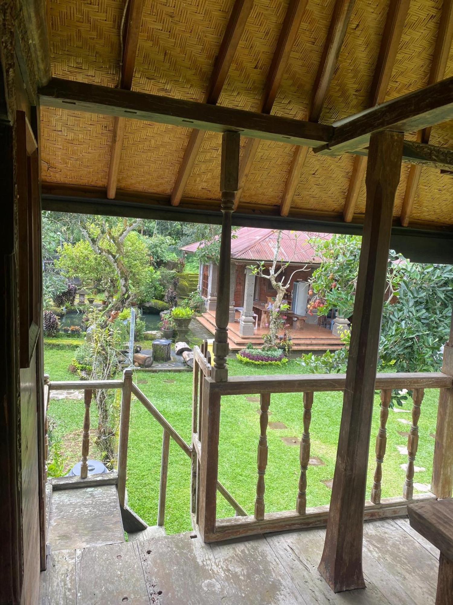 Mesari Cottage Guest House Buleleng  Bagian luar foto