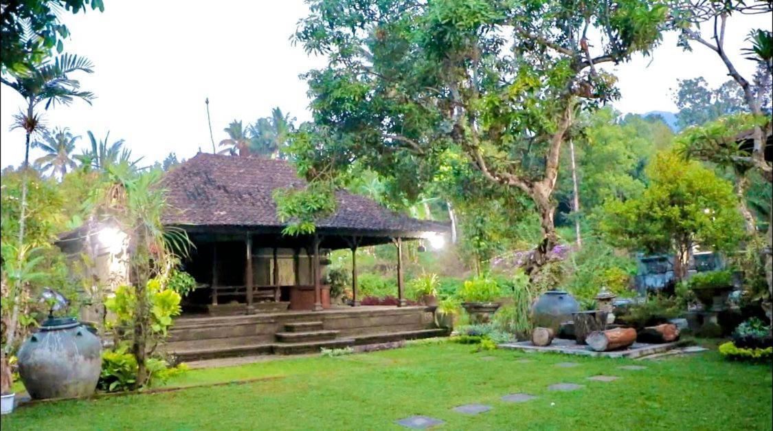 Mesari Cottage Guest House Buleleng  Bagian luar foto