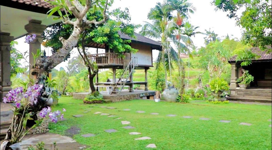 Mesari Cottage Guest House Buleleng  Bagian luar foto