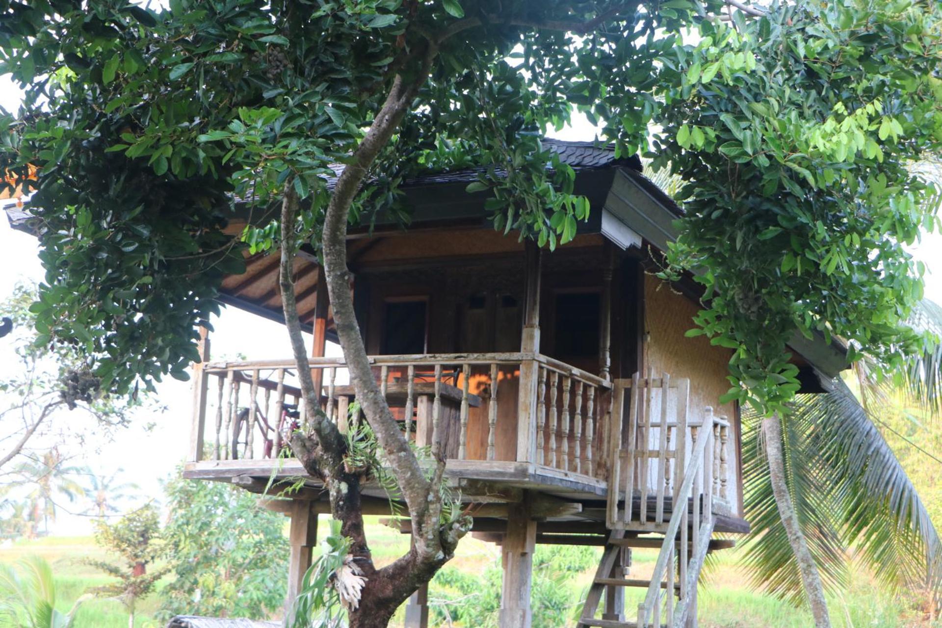 Mesari Cottage Guest House Buleleng  Bagian luar foto