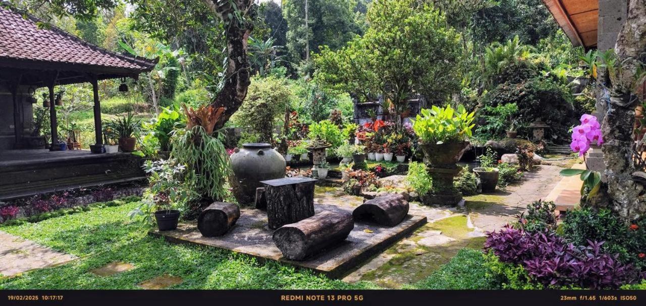 Mesari Cottage Guest House Buleleng  Bagian luar foto