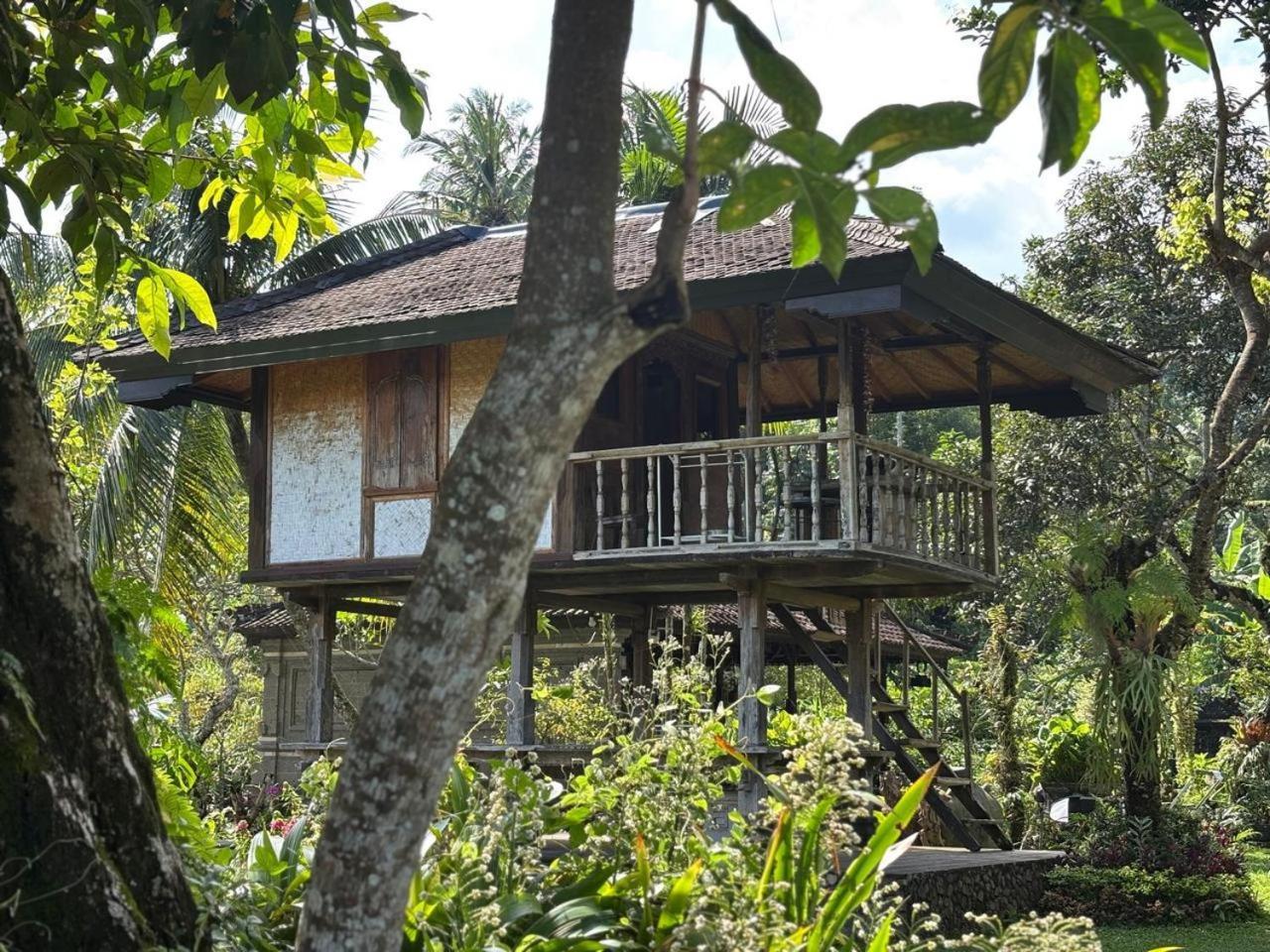 Mesari Cottage Guest House Buleleng  Bagian luar foto